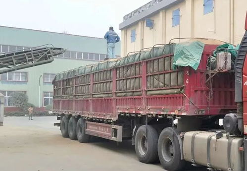 貨車司機(jī)的“到頭”之路 集裝箱道路運(yùn)輸?shù)奶魬?zhàn)與前景